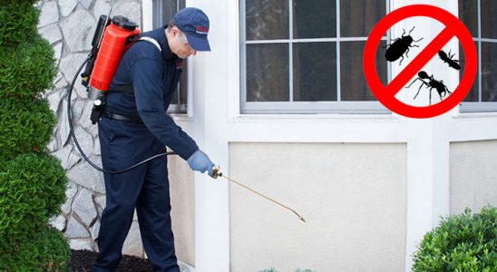Yıkıkkemer Kemirgen İlaçlama böcek ilaçlama ve haşere kontrolü — ilaclama-tr.com